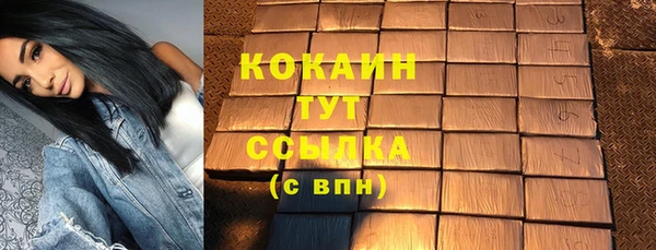 Альфа ПВП Бородино