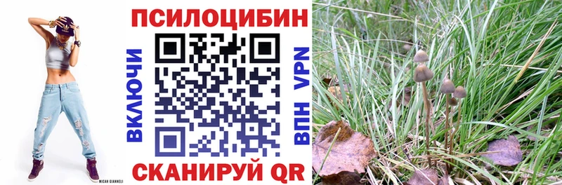 Псилоцибиновые грибы прущие грибы  Топки 